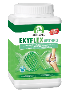 Ekyflex Arthro EVO AUDEVARD