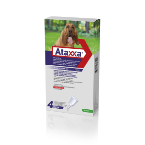 Ataxxa Grand Chien (25 - 40 kg) - KRKA