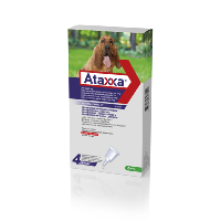 Ataxxa Grand Chien (25 - 40 kg) - KRKA