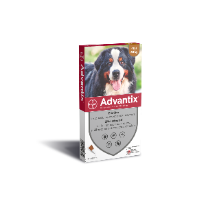 ADVANTIX Très grand chien -  ELANCO