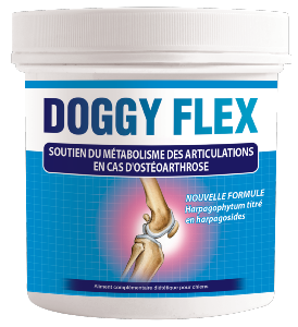 Doggy Flex Chien AUDEVARD - Pot 180 g