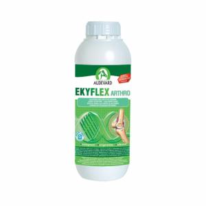 Ekyflex Arthro AUDEVARD - Flacon 1 Litre