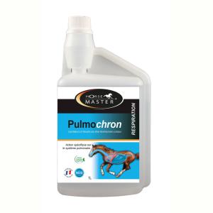 Pulmochron HORSE MASTER - Flacon 1 Litre