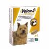 Veloxa Vermifuge Chien MERIAL