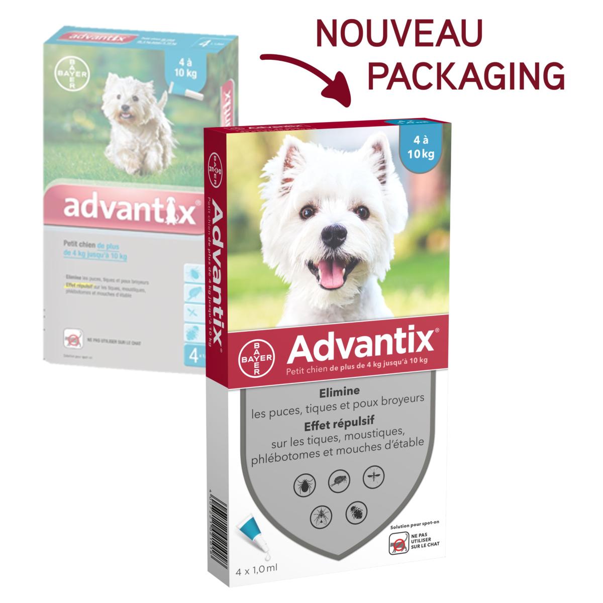 Les produits anti-puces des animaux sont-ils dangereux pour les enfants et  les animaux ? - Sciences et Avenir