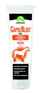 Capsiblist Gel AUDEVARD - Tube 250 ml