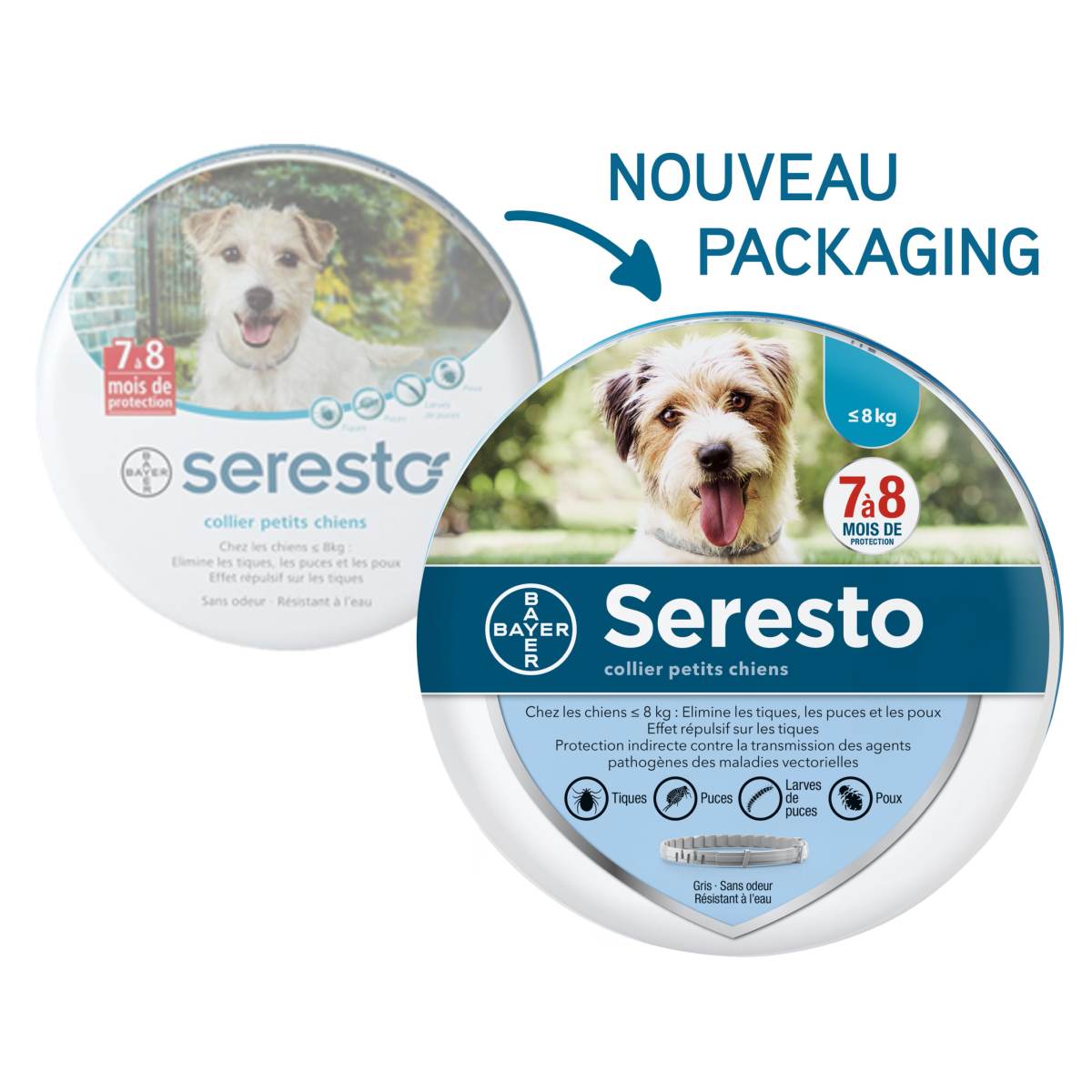 Collier Seresto petit chien Collier anti puce pour chien de moins de 8 kg Bayer Une Pharmacie
