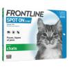 Frontline Spot On - Chat - 4 pipettes - BOEHRINGER