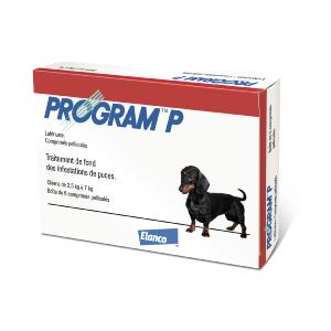 Program P Chien - ELANCO