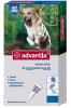 Anti Puce Advantix Grand chien >25 kg en Pipettes - Bayer