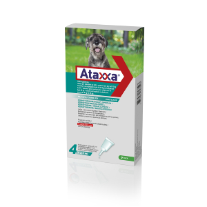 Ataxxa Chien Moyen ( 10 - 25 kg ) - KRKA