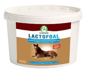Lactofoal AUDEVARD - Pot 2,2 kg