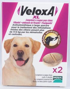 Veloxa XL Vermifuge Chien MERIAL - Boite 2 Comprimés