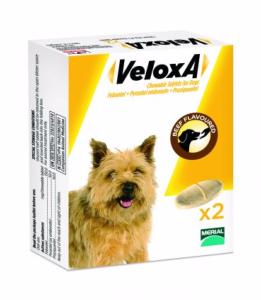 Veloxa Vermifuge Chien MERIAL