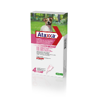 Ataxxa Chien ( 4 - 10 kg ) - KRKA