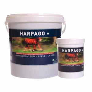 Harpago + Cheval Greenpex - Seau 1.5kg 