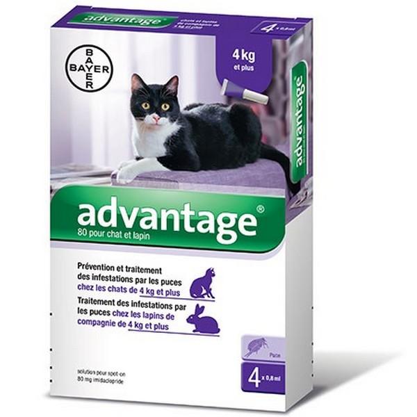 Advantage 80 Bayer